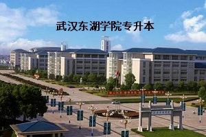 武汉东湖学院招生简章2020湖北省教育考试院官方公布